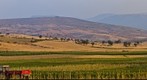 fields around Oymaagac