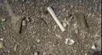 RiverBed 20100320 - 01 