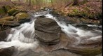 Hardy Hill Brook