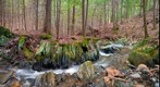 Ledge at Hardy Hill Brook