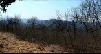 Round Hill Lookout