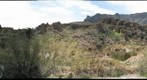 Superior, AZ - Boyce Thompson Arboretum