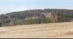 Destroyed Forest near Eschenstruth/Hessen - Germany