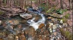 Hardy Brook down and up