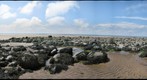 Seascale