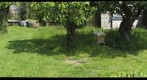 My "New" Garden 360