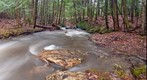 Brook Full After Rain