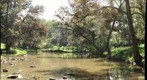 lake by golmine