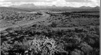 San Simon 1941: WS1-Ariz-RS-161