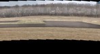 Morton Arboretum
