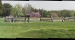 Robinson Farm, Manassas
