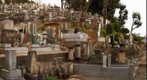 A graveyard of Japan