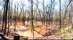 Panther Creek, Kentucky 16 04 08