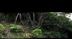 Manoa Cliff Trail #2