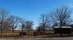 whereRU: Horse Field Across the New Jersey Museum of Agriculture