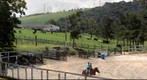 Haras Rancho Verde