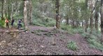 Ranca Upas Tropical Forest