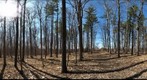 University of Guelph - Dairy Bush - 31 - March 26 2010