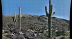 20100319 Saguaro Creek