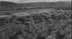 San Simon 1941: WS1-Ariz-RS-160