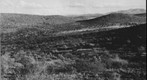 San Simon 1941: WS1-Ariz-RS-159