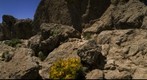 Roque Nublo y La Rana. Parque Rural del Nublo. Isla de Gran Canaria
