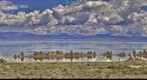 Mono Lake, CA HDR