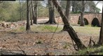 Stone Bridge, Manassas