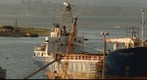 Seixal "docks"