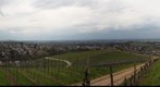 Zell-Weierbach Weinbergpanorama
