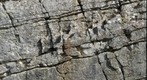 Rock Face