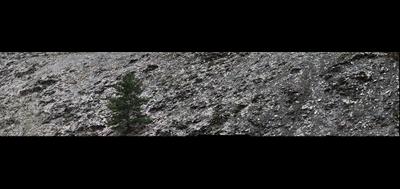 46314-400x189