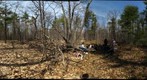Douglas picnic - 100402