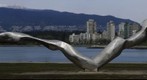 vancouver sculpture