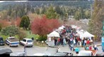 salt spring island saturday market