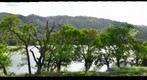 Spring Day at Del Valle