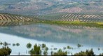 Laguna del salobral