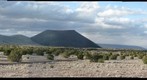 April 2010 Recon:  g10