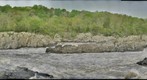 Great Falls gigapan from MD