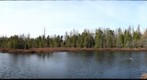 byron bog spring 2010