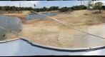 Travelling through the Safari in Ramat Gan
