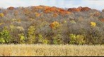 Missouri Autumn