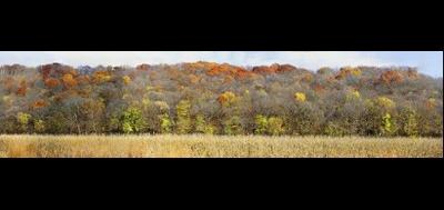 46857-400x189