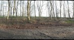 Roundway Hill Woods