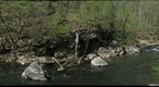 Wissahickon Creek 2