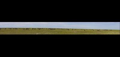 47095-400x189