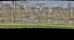 Jackson Park - 20100413