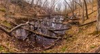 Vernal Pool in Vermont