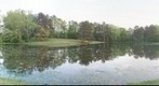 The Pond At Sunset