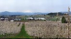 Hood River Valley
